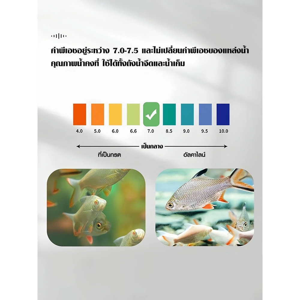 เซรามิคริงค์หินกรองตู้ปลา 0.5/1kg พร้อมถุงซิป หลายรูปทรง thumbnail 10