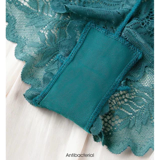 กางเกงในผ้าลูกไม้นิ่มทั้งตัว เอวต่ำ มี 5 สี #2287