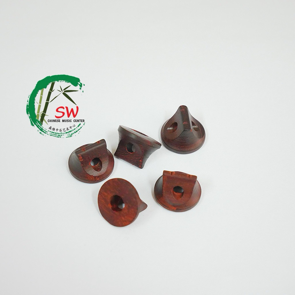 หย่องเอ้อหู หย่องซอจีน เอ้อหูหม่า ไม้จื่อถาน เสียงโปร่ง