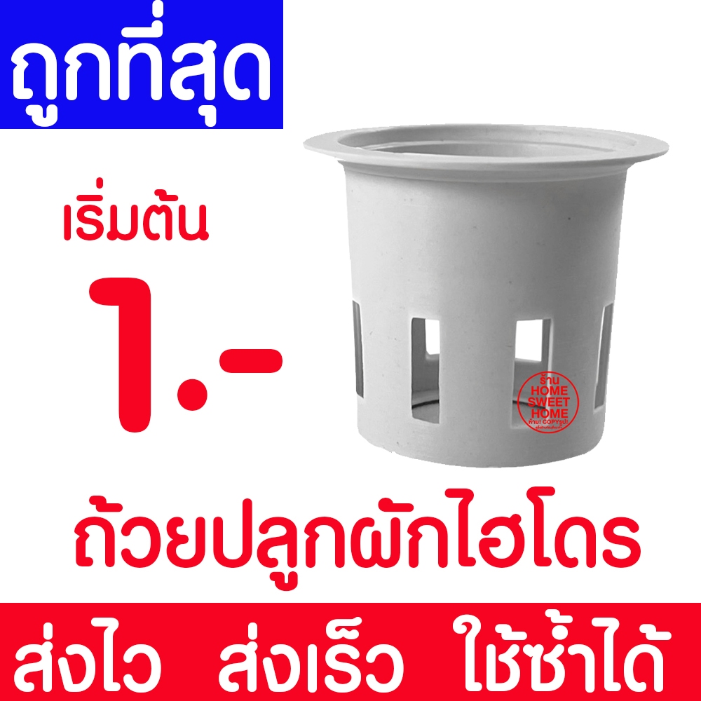 ถ้วยปลูกผักไฮโดรโปนิกส์ ถ้วยขาวปลูกผัก 1 ใบ (แบบใช้ซ้ำ) ผักไฮโดร ไฮโดร hydroponic hydro ส่งไวมาก หนา เหนียว clearance