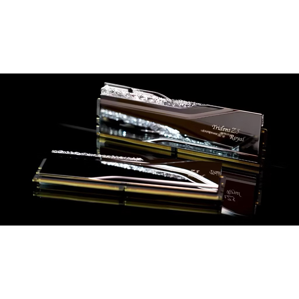 แรม G.SKILL - DDR5-RAM P/C 48/8400 Trident Z5 Royal RGB Silver (F5-8400J4052G24GX2-TR5S) 24GBx2 (40-