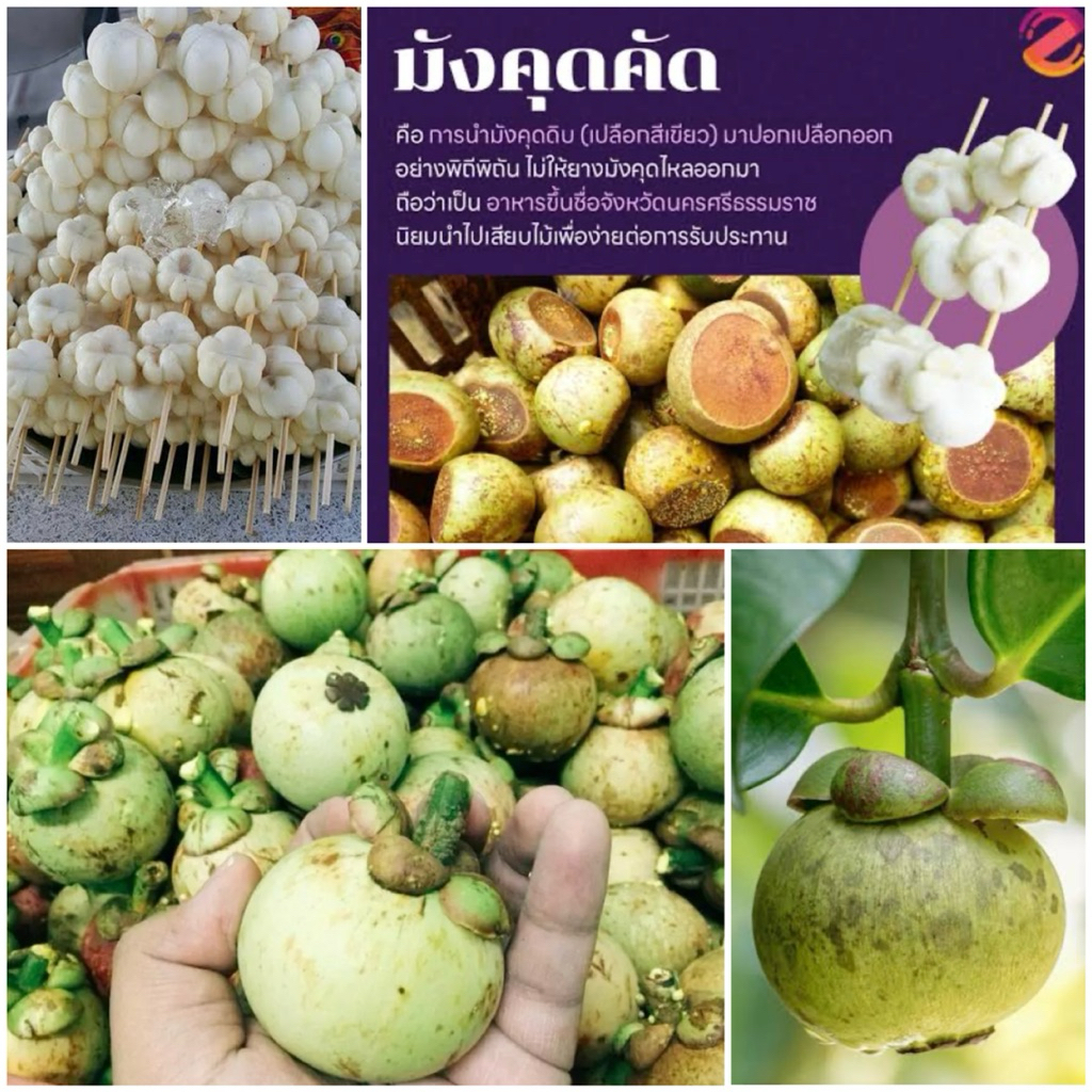 🍐มังคุดคัด🍐มังคุดดิบ 3กิโลกรัม👌สำหรับทำมังคุดคัด