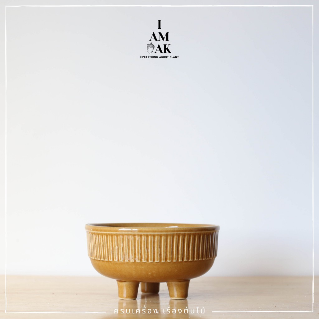 มุมมอง 3