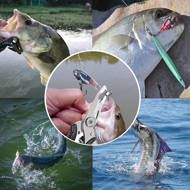 รูปภาพ 8