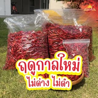 พริกแห้ง จินดา (เด็ด) 5 กก. เม็ดอวบ ทำน้ำพริก ทำพริกแกง ทำพริกป่น และ อาหารอื่นๆ