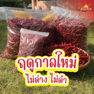 พริกแห้ง จินดา อินเดีย (เด็ด) 1 กก. คัดเกรด AAA เม็ดสวย เรียวยาว ทำน้ำพริก ทำพริกแกง ทำพริกป่น