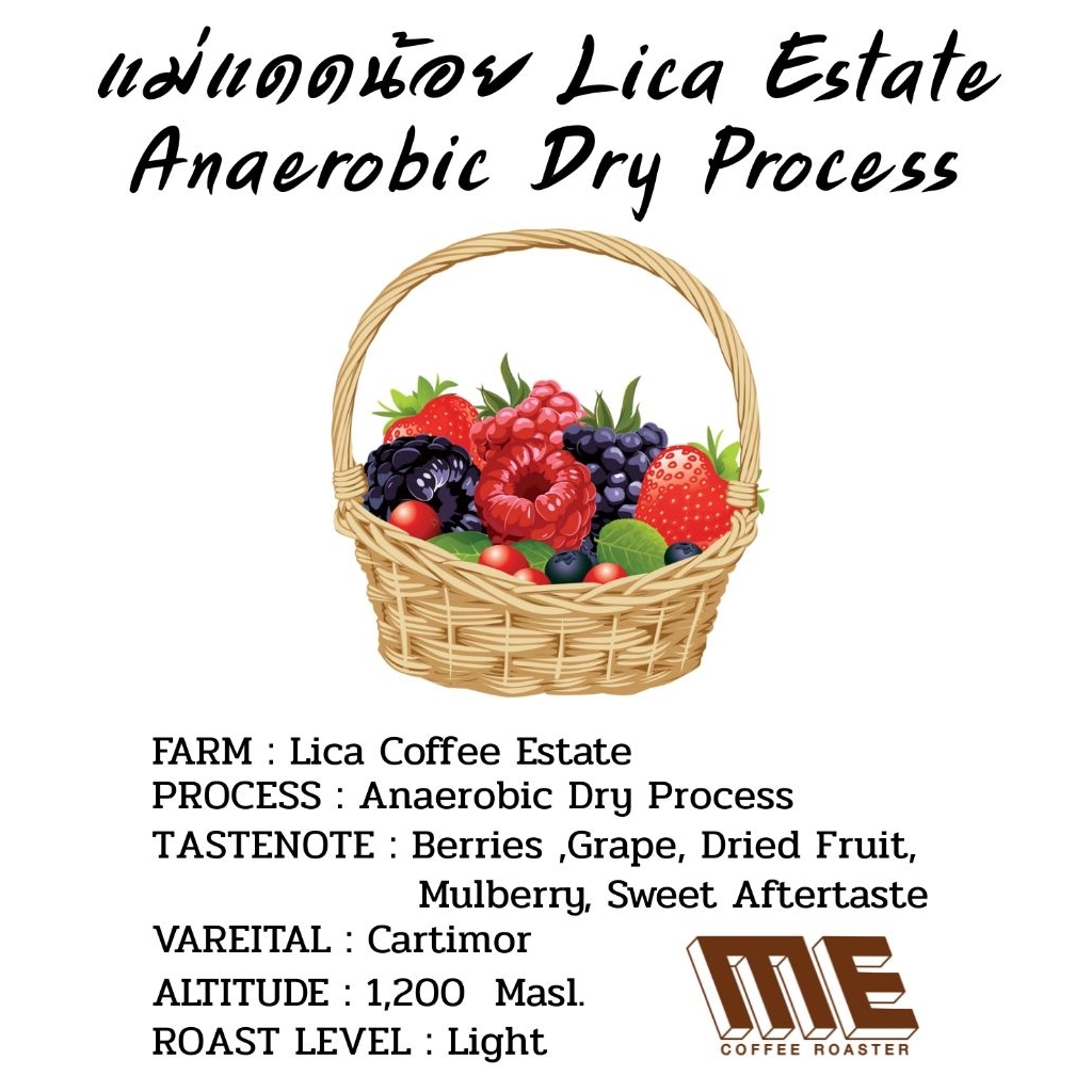 เมล็ดกาแฟ แม่แดดน้อย Lica Estate Anaerobic dry Process หอม Berry 🫐🍓 องุ่น 🍇