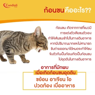 Bolovia : 50กรัม เจลขับก้อนขนแมว ธรรมชาติ100% ไม่มีปิโตรเลียมเจล มีสารสกัดจากมอลต์