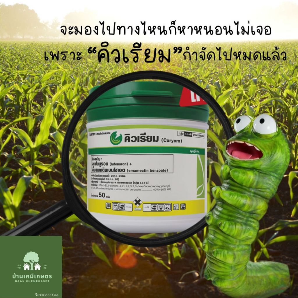 คิวเรียม ยากำจัดไข่และหนอนผีเสื้อ หนอนกระทู้ ชื่อสามัญ ลูเฟนนูรอน + อีมาเมกตินเบนโซเอต  ขนาด50g
