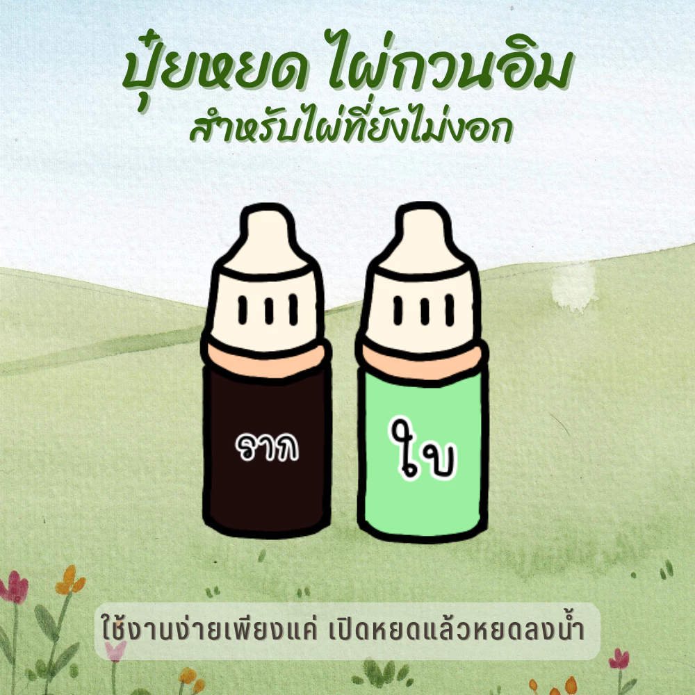 ปุ๋ยบำรุง สำหรับ ไผ่กวนอิม – บำรุง ครบทั้งราก ใบ และลำต้น