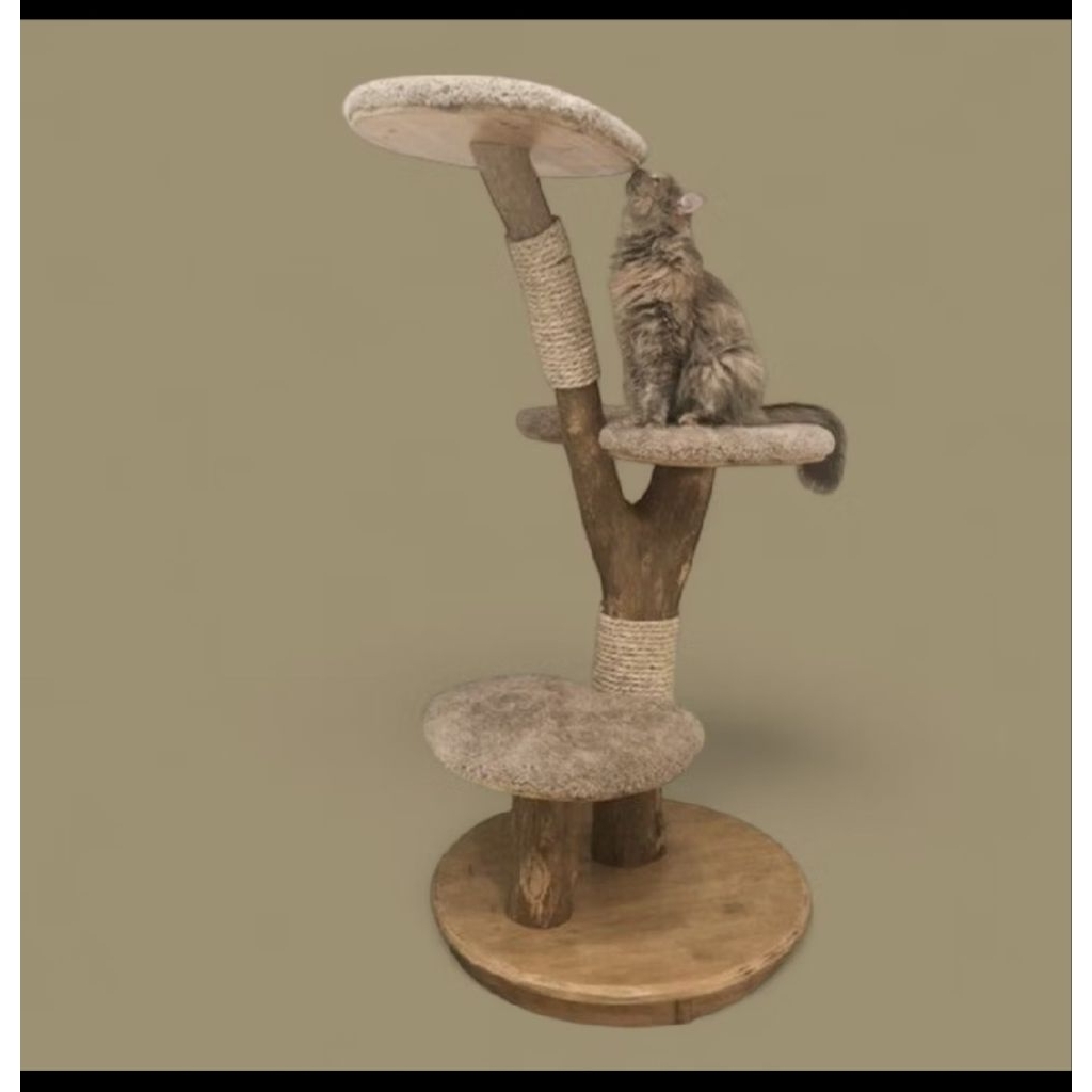 Large cat tree (Maine Coon)