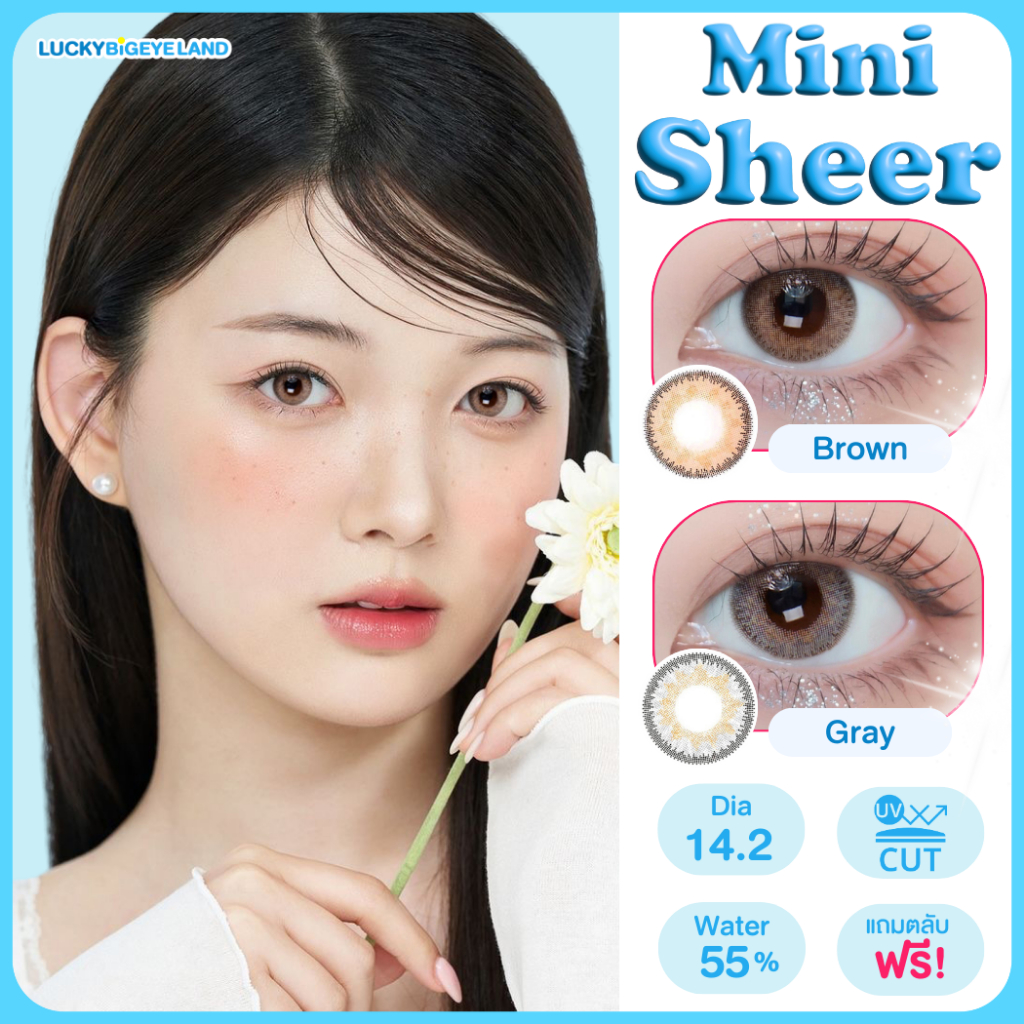 คอนแทคเลนส์ Mini Sheer Brown / Gray (Kitty Kawaii) ขนาดมินิ 🌷