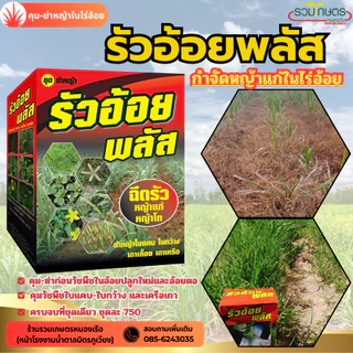 รัวอ้อยพลัส โฉมใหม่ (โปรโมชั่น) สูตรอัพเกรดเพิ่มจำนวนยาในชุด มีถึง 4 ตัว ออกฤกธิ์เร็วแรง ครบจบชุดนี้