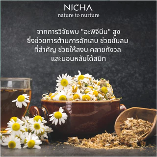 ชาคาโมมายล์เก็กฮวย Chamomile Chrysanthemum Tea ชาผ่อนคลาย ชาช่วยนอนหลับ ไม่มีคาเฟอีน 25ซอง Nichatea