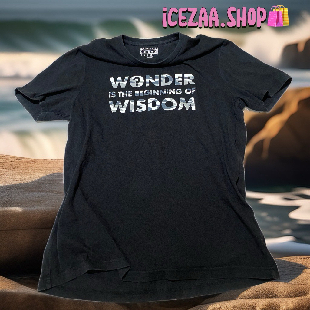 เสื้อยืดแท้giordano.