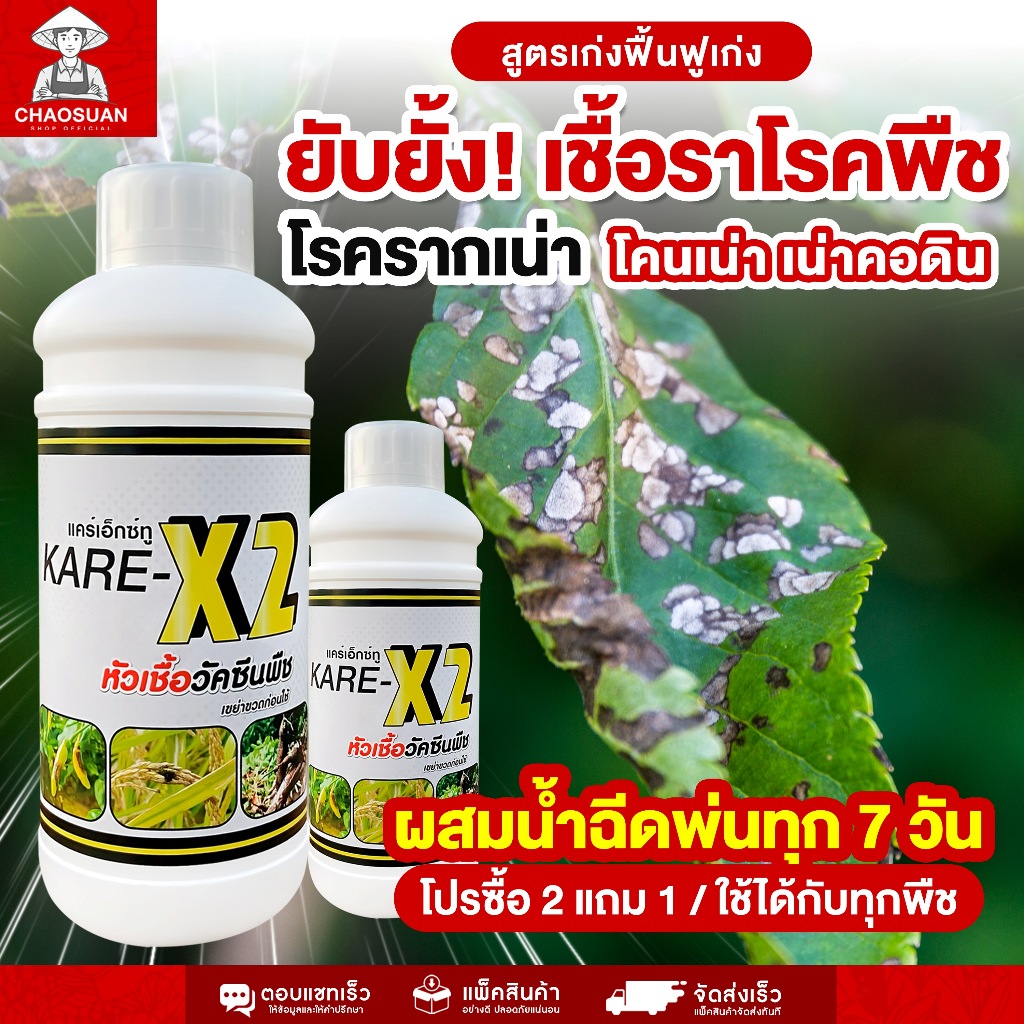 ยับยั้งเชื้อราโรคพืชทุกชนิด! โรครากเน่า โคนเน่า เน่าคอดิน หมดปัญหา! KARE-X2 แคร์เอ็กซ์ทู หัวเชื้อวัคซีนพืช สูตรเข้มข้น