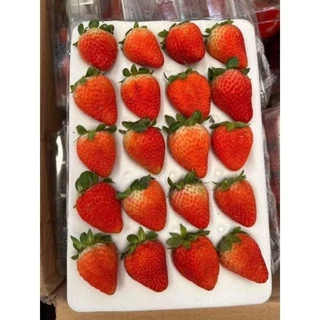 สตอเบอรี่นำเข้า แพค15-20ลูกใหญ่🍓🍓🍓📥พร้อมส่ง