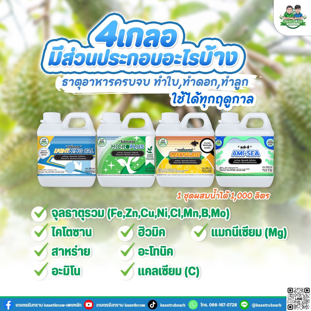 ปุ๋ยเกษตรรับทราบ ชุดสี่สหาย เซฟตี้แพลนท์ ไมโครพลัส ไลนิ่งแคล อะมีซี ต้นสมบูรณ์ ลูกดก