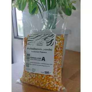 ข้าวโพดป๊อปคอร์น 500 ก. ตราเสือบิน แบบเห็ด (Mushroom popcorn) เม็ดกลม ป๊อปง่าย เมล็ดตายน้อย