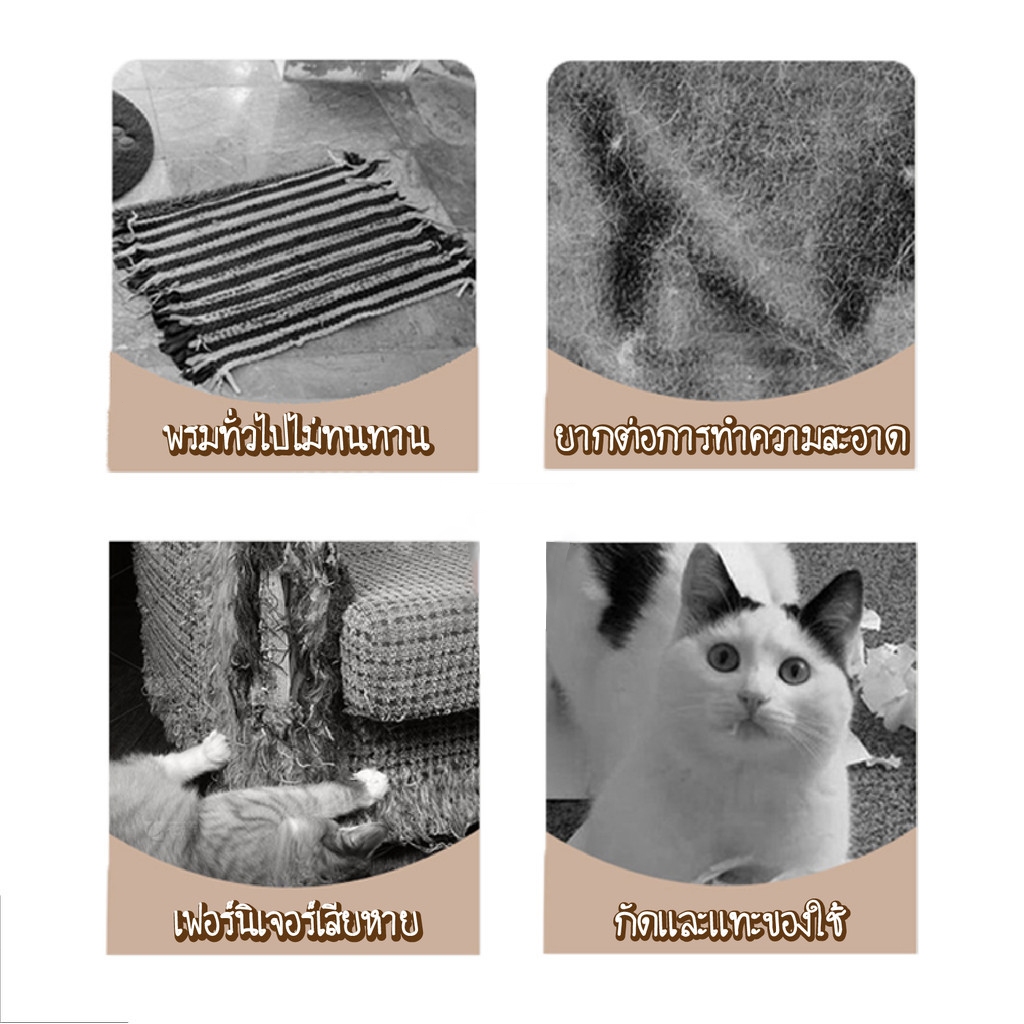 🐱พร้อมส่ง🐱 พรมลับเล็บแมว ที่ฝนเล็บ แบบติดผนัง พร้อมกาว กันรอยข่วนได้ดี แผ่นแมวปีน แผ่นกันข่วน มีทั้งหมด 4 ขนาด - รูปที่ 5