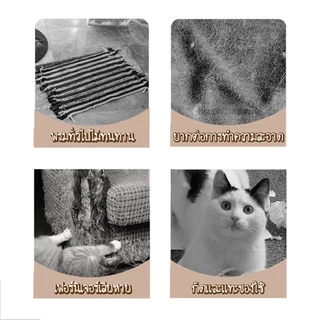 🐱พร้อมส่ง🐱 พรมลับเล็บแมว ที่ฝนเล็บ แบบติดผนัง พร้อมกาว กันรอยข่วนได้ดี แผ่นแมวปีน แผ่นกันข่วน มีทั้งหมด 4 ขนาด