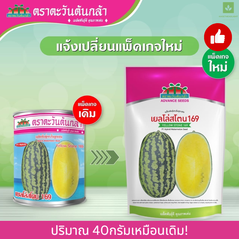 แตงโม เยลโล่สโตน 169 40กรัม แตงโมเหลือง Yellow Stone แตงโมเนื้อเหลือง เมล็ดพันธุ์แตงโม