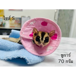 คอลล่าชูการ์ ปลอกคอกันเลียชูการ์ กระรอก แฮมเตอร์ งานไทยพร้อมส่ง