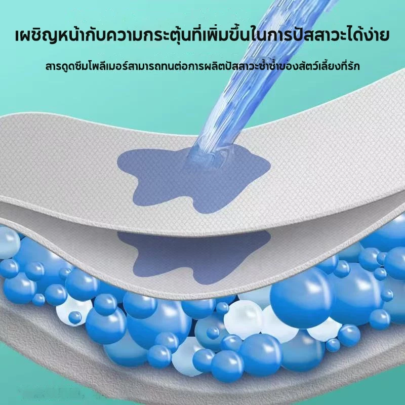 ผ้าอ้อมสุนัขใช้แล้วทิ้ง 10/12 ชิ้น ตัวผู้-ตัวเมีย ดูดซับดี thumbnail 4