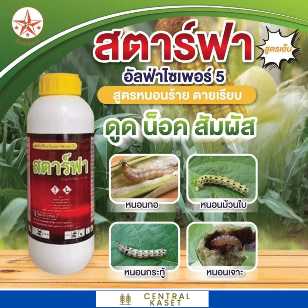 🐛สตาร์ฟา🌾 ธันย์สตาร์ สูตรเย็น กำจัด หนอนกอ หนอนเจาะฝัก หนอนม้วนใบข้าว หนอนหนังเหนียว 1 ลิตร