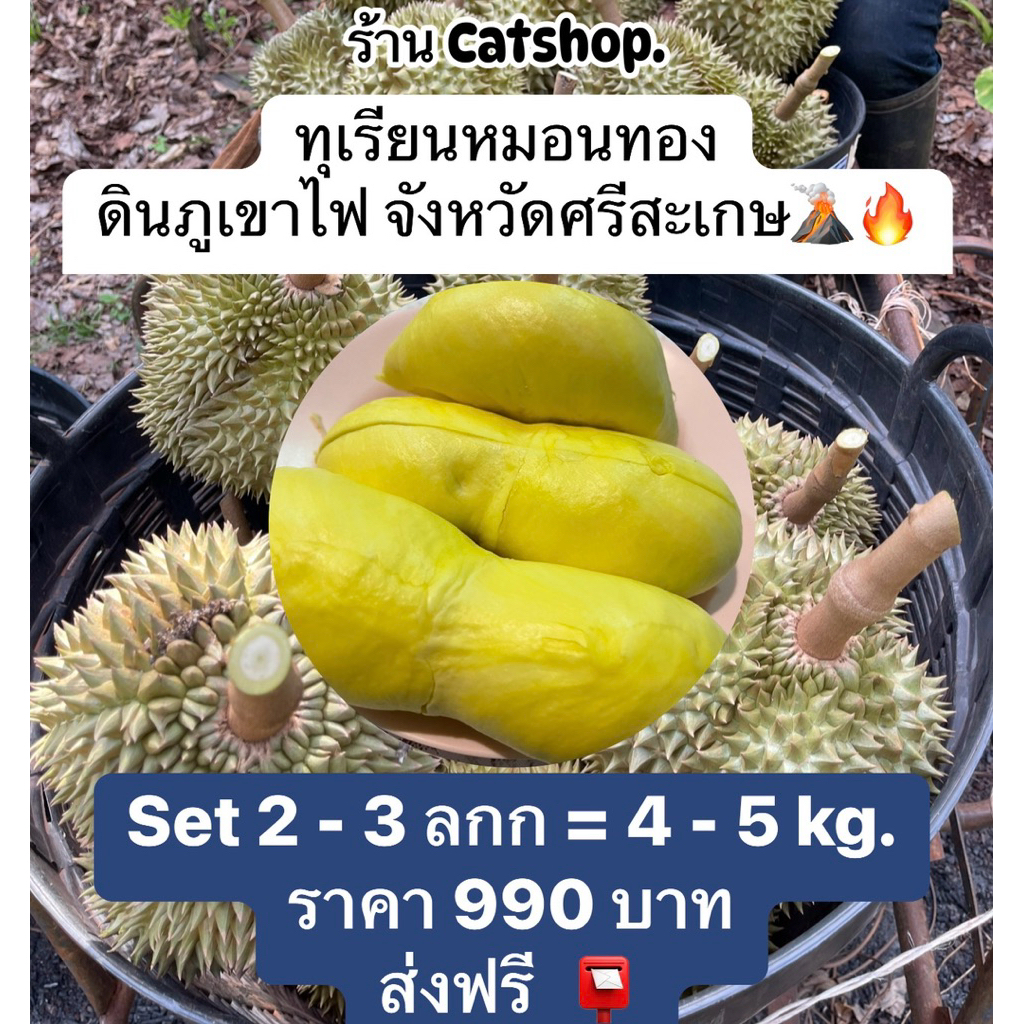 (รอบปิดสวน จัดส่ง 1 ส.ค. 69) จัดโปรไฟลุก 🌋🔥ทุเรียนภูเขาไฟ(เบอร์รวม) 2-3 ลูก 990฿ ส่งฟรี📮 ทุกออเดอร์ ‼️