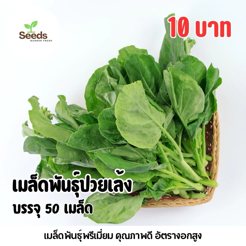 เมล็ดพันธุ์ปวยเล้ง บรรจุ 50 เมล็ด/ซอง