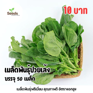 เมล็ดพันธุ์ปวยเล้ง บรรจุ 50 เมล็ด/ซอง