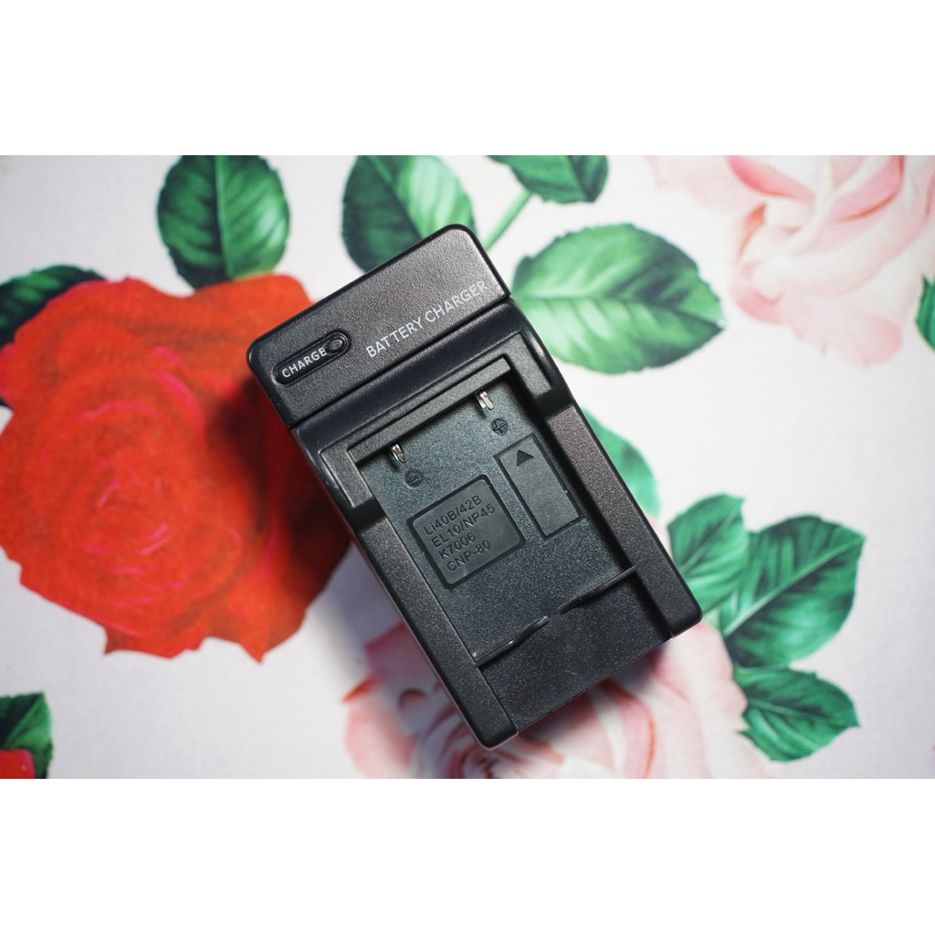 Li40B/42b Battery Charger