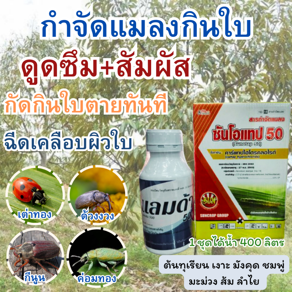 ฆ่าแมลง กิบใบ แมลงปีกแข็ง เพลี้ย ด้วง ในทุเรียน มังคุด ลำไย มะม่วง มะปราง ชมพู่ เงาะ ถูกตัวตาย กัดกินใบตายทันที