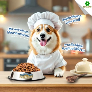 [ 500g ] อาหารสุนัข Perfecta Soft&Meaty เพอร์เฟคต้า อาหารสุนัขเม็ดนิ่ม สุนัขโต คัดสรรวัตถุดิบจากเกรดพรีเมี่ยม