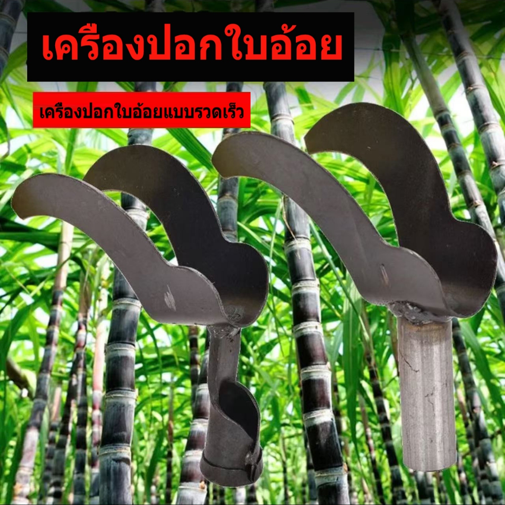 มีดสางใบอ้อย เป็นเครื่องมือที่จะช่วยทำการสางใบอ้อยได้อย่างสะดวกและรวดเร็ว เพื่อลดปัญหาการขาดแคลนแรงงานเก็บเกี่ยวอ้อย