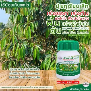ปุ๋ยทุเรียนเล็ก ค้างคาวดี(ของแท้)150มล เร่งต้นโตไว ฟื้นต้นโทรม เร่งแตกยอด ใบเขียวสดมันเงา F1D-150ML