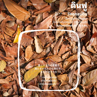 ดินฟู ~ ดินมีชีวิต | ฟื้นฟูต้นป่วย ป้องกันโรคแมลง อุดมไปด้วยจุลินทรีย์ ธาตุอาหารสูง ดินปลูกพรีเมี่ยม