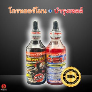 ชุดเลี้ยงไก่ โกรท+บำรุง ไก่หน้าแดง