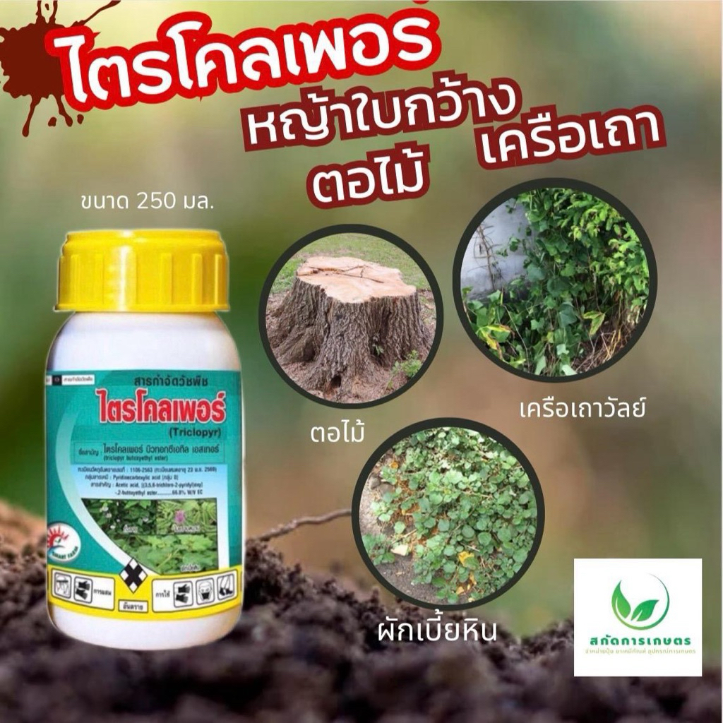 ไตรโคลเพอร์ ขนาด 250 มล. ใบกว้าง ผักเบี้ยหิน หญ้ายาง ไมยราบยักษ์ ตดหมูตดหมา เครือเถาวัลย์ ต้นไม้ ตอไม้ ตราสมาท์ฟาร์ม ราคาถูก Shopee Lazada