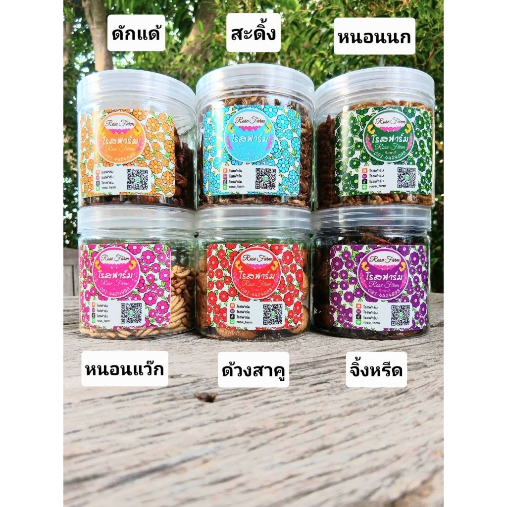 แมลงฟรีซดรายและอบแห้ง ขนาด 50 กรัม (หนอนแว๊กซ์ ด้วงสาคูฟรีซดราย) (จิ้งหรีด สะดิ้ง ดักแด้ หนอนนกอบแห้ง)