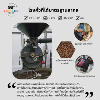 เมล็ดกาแฟคั่วอ่อน Light Roast 250g/500g | Signature Blend Coffee Beans | 93 Degrees