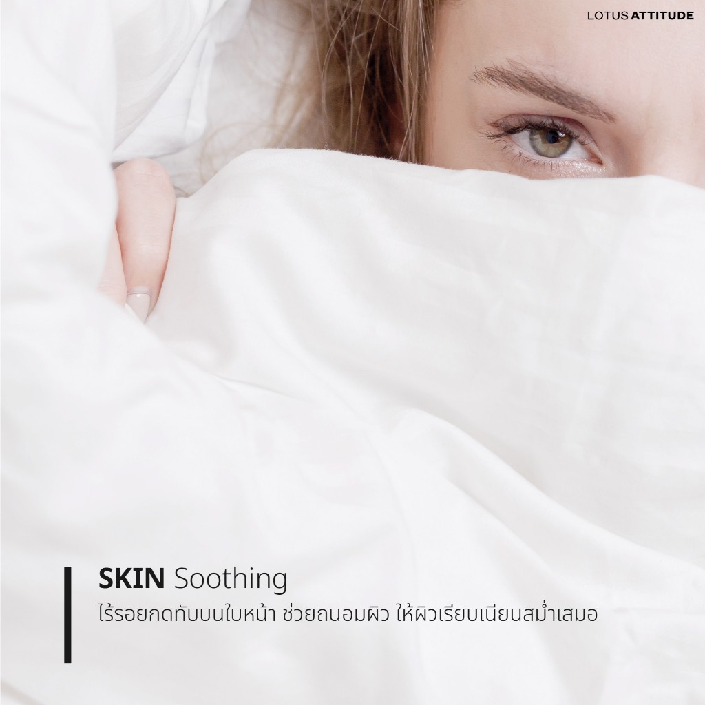 ผ้านวมเย็บติด Lotus Attitude Norden Collection ทอ990เส้น - รูปที่ 5