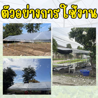 พลาสติกคลุมโรงเรือน ผ้าใบใสคลุมโรงเรือน UV7% [เเบ่งตัดขาย] หน้ากว้าง 3 4 5 6 เมตร หนา 100-200 ไมครอน
