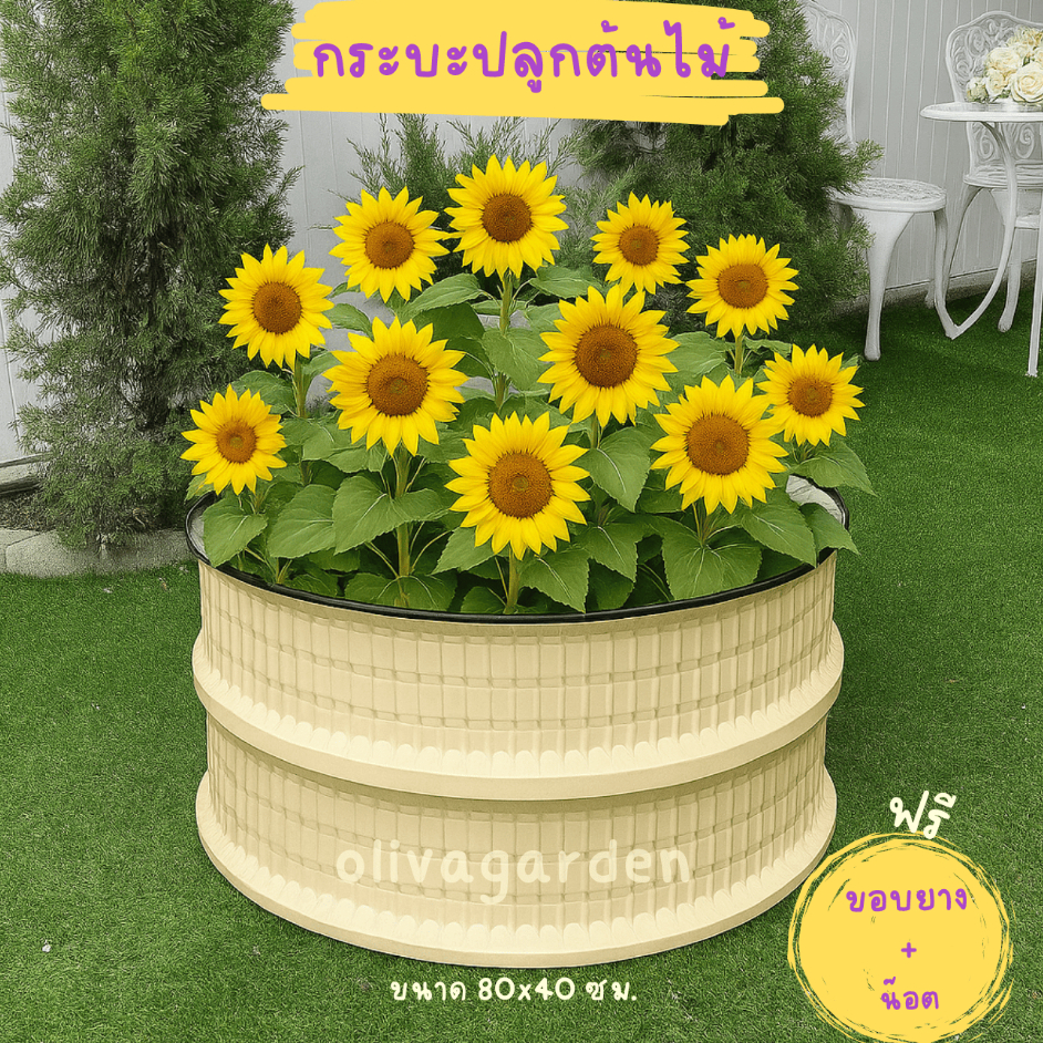 [ทรงกลม80ซม] กระถาง ทรงกลมขนาดใหญ่ กระบะปลูกต้นไม้ แปลงปลูกผัก หนาแข็งแรงทนทาน อายุการใช้งานยาวนาน