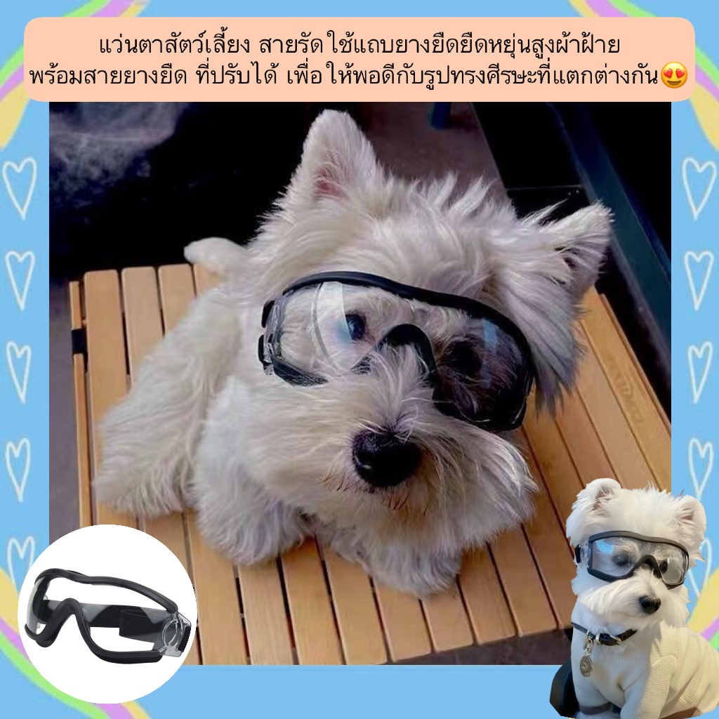 BN-1380 แว่นตาสัตว์เลี้ยงป้องกัน UV ลม ฝุ่น สำหรับหมาแมว😍