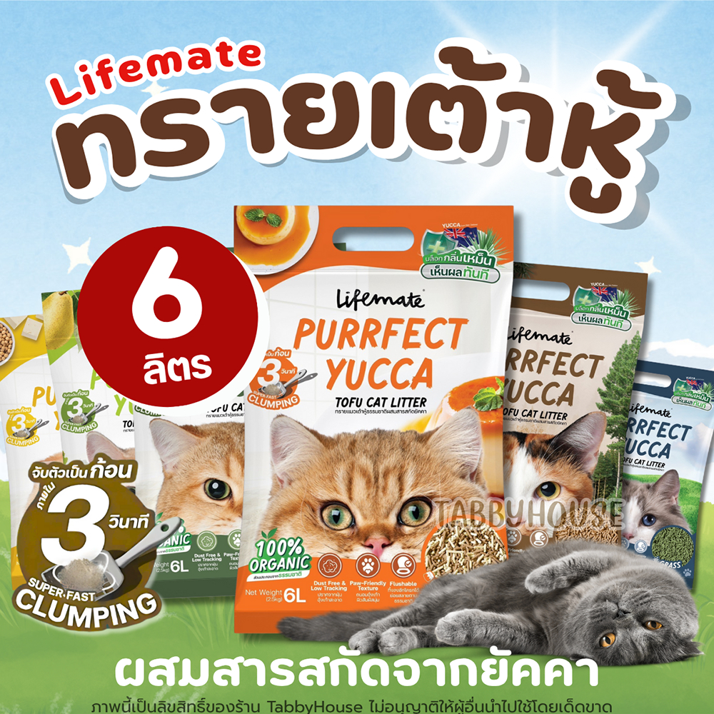 (6ลิตร) ทรายแมวเต้าหู้ Lifemate ยับยั้งการเติบโตแบคทีเรีย ทิ้งลงชักโครกได้ สามารถสลายได้ตามธรรมชาติ
