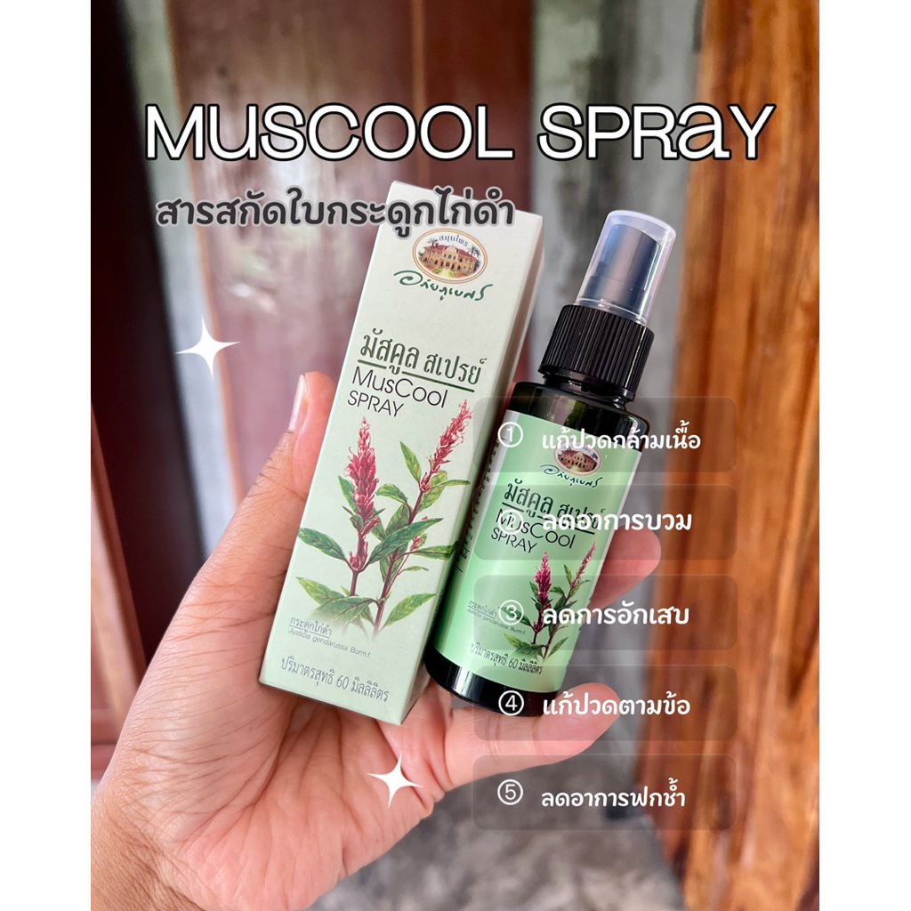มัสคูลสเปรย์ MusCool Spray ขนาดบรรจุ 60 ml. จากอภัยภูเบศร์