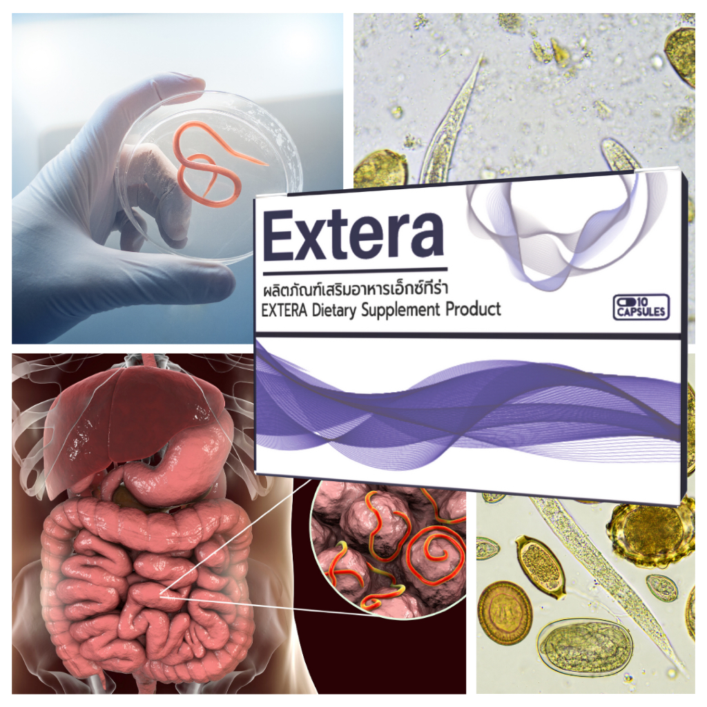 Extera ดีท็อกซ์ใยอาหารจากธรรมชาติ ช่วยดูแลระบบขับถ่าย