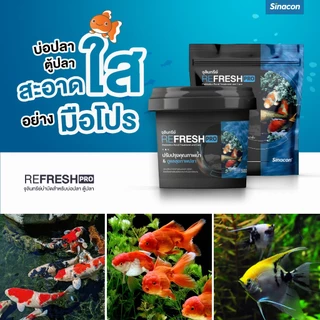 [ล็อตใหม่ผงสีขาว] Refreshpro 500g จุลินทรีย์บ่อปลา จุลินทรีย์ปรับสภาพน้ำ 500 กรัม